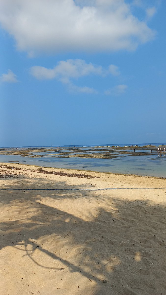 missecity tweet media