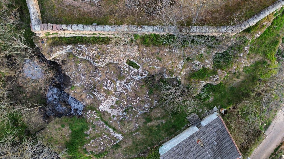 MedGreenRev tweet media