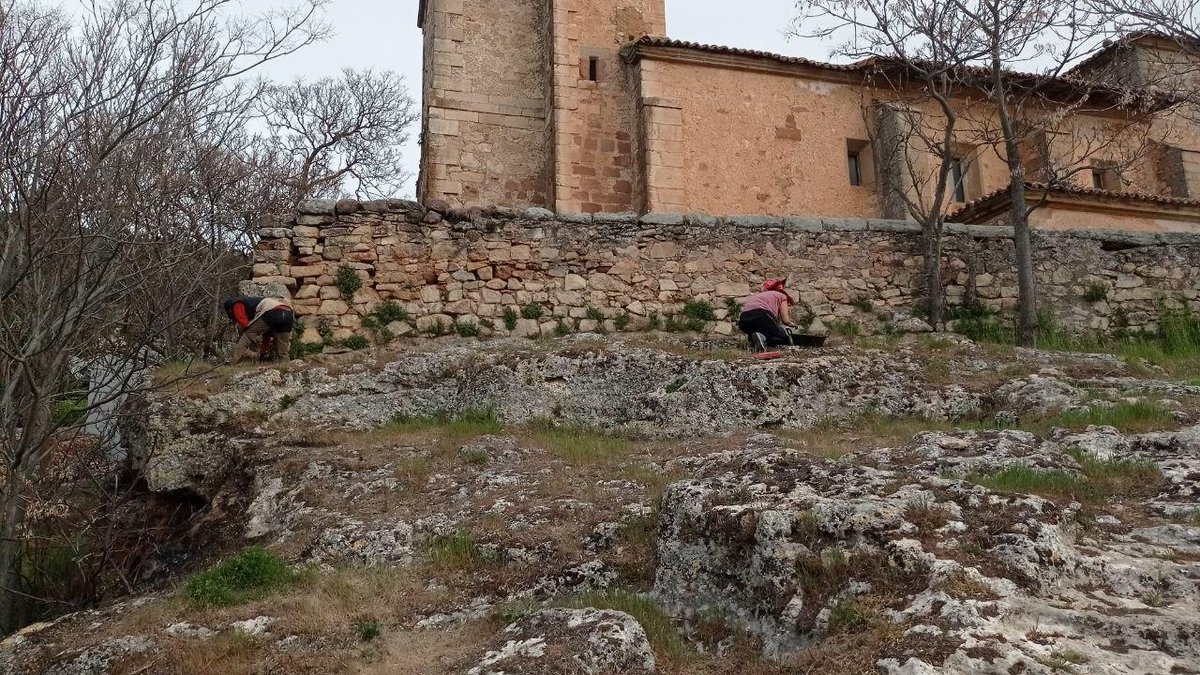 MedGreenRev tweet media