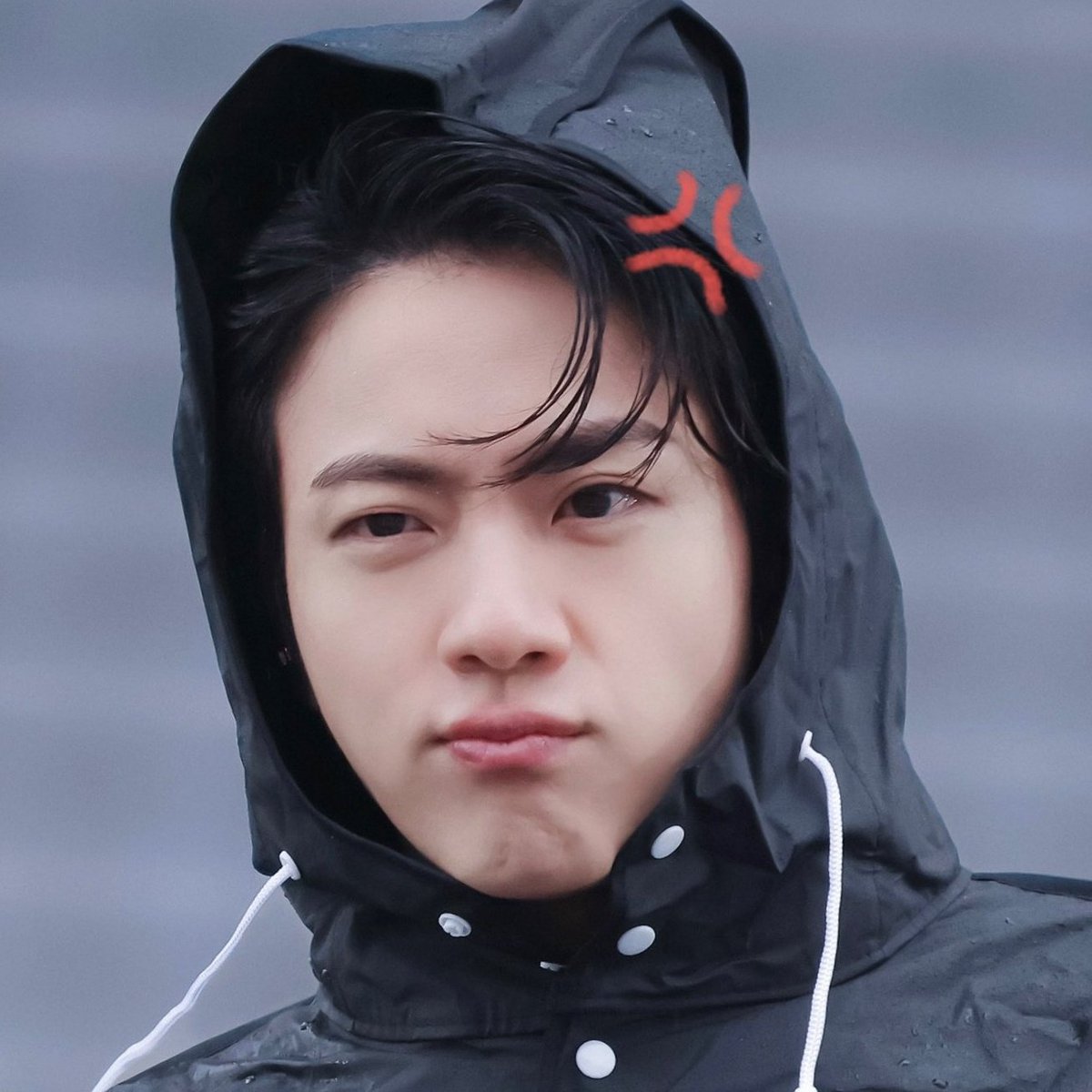 hamjin bot tweet media