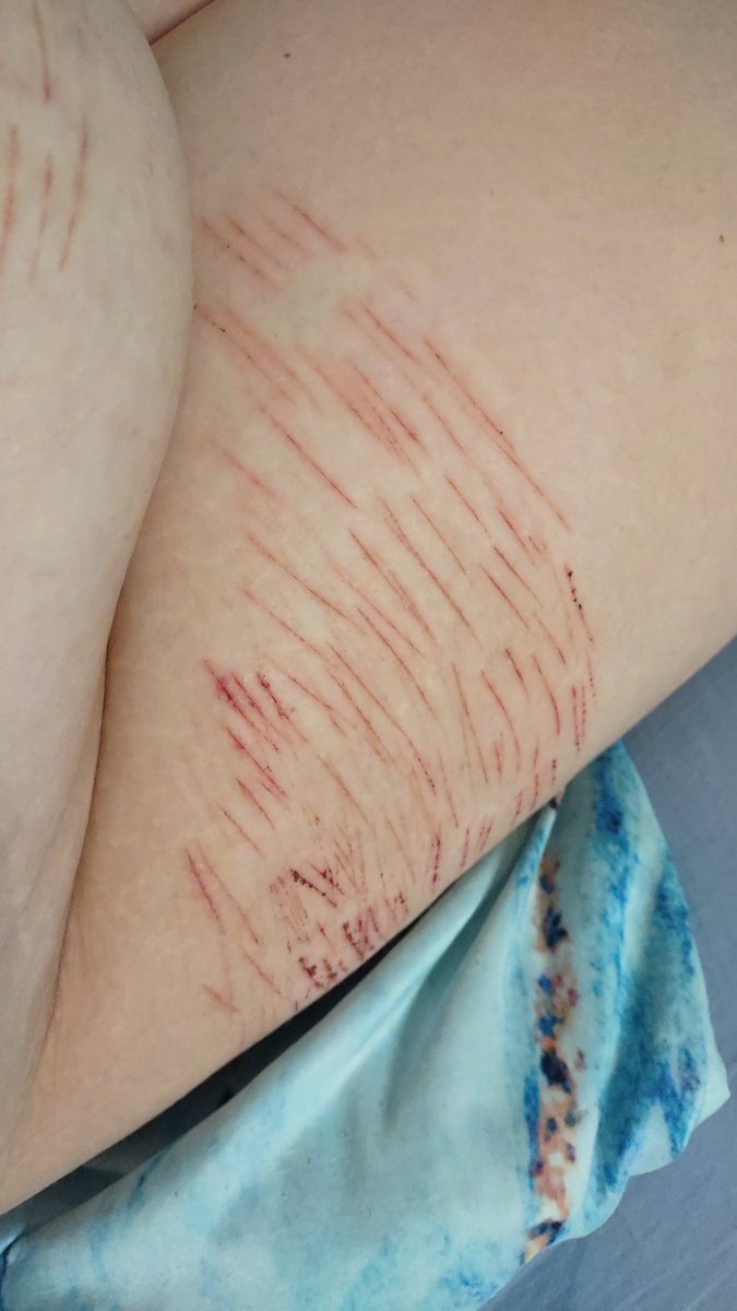 tsukasa of shtwt tweet media