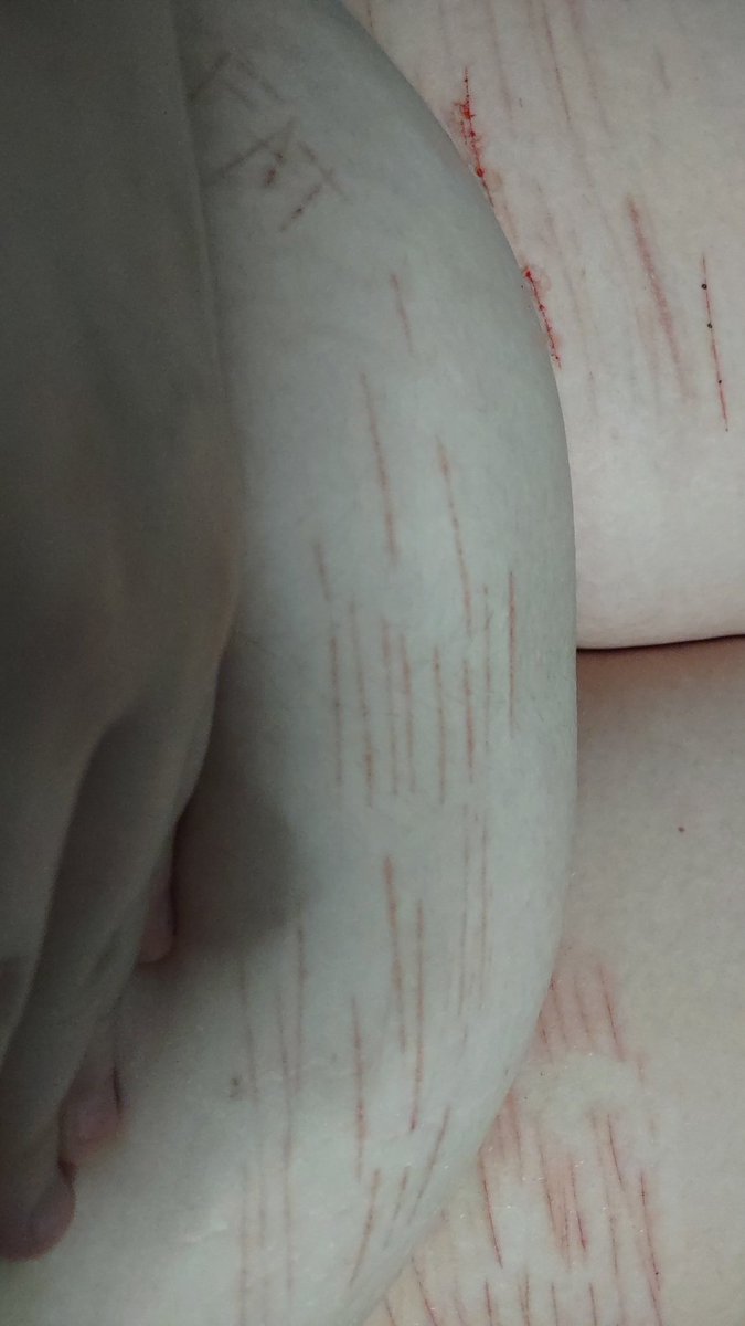 tsukasa of shtwt tweet media