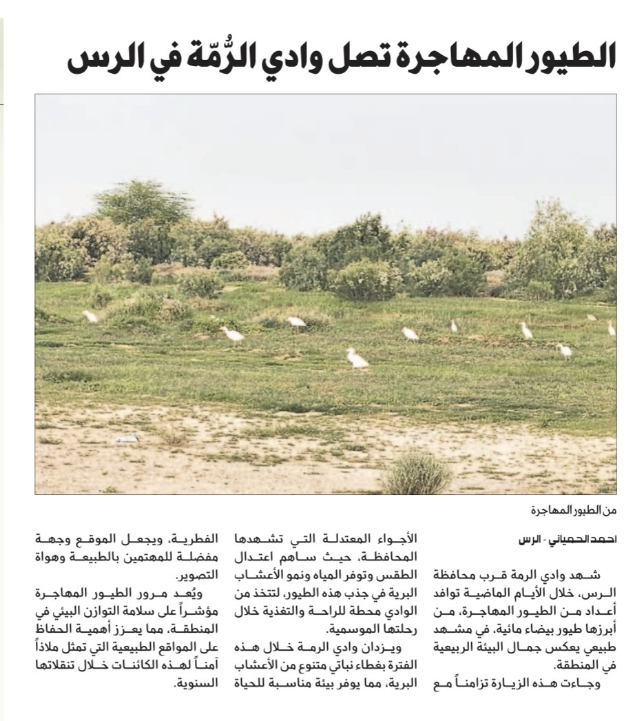 أحمد الحمياني tweet media