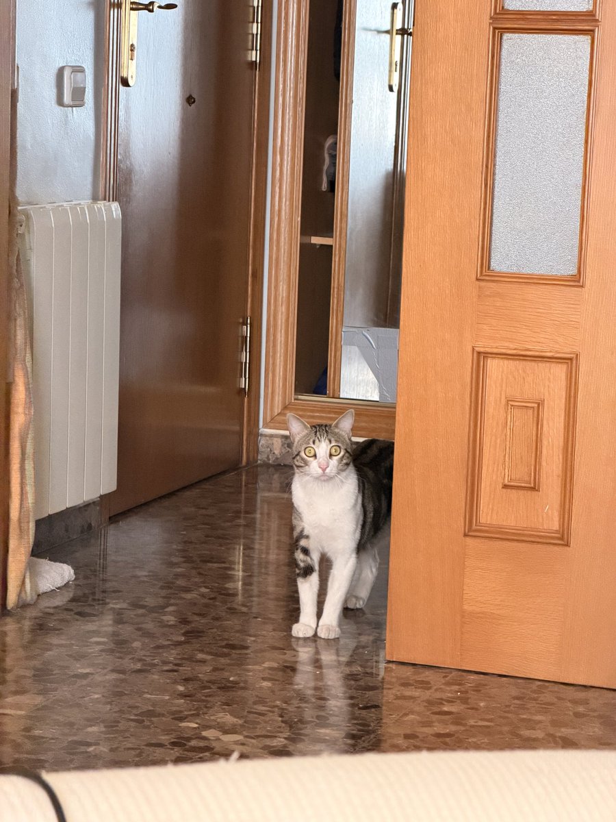 Hurona Rolera🌻• tweet media