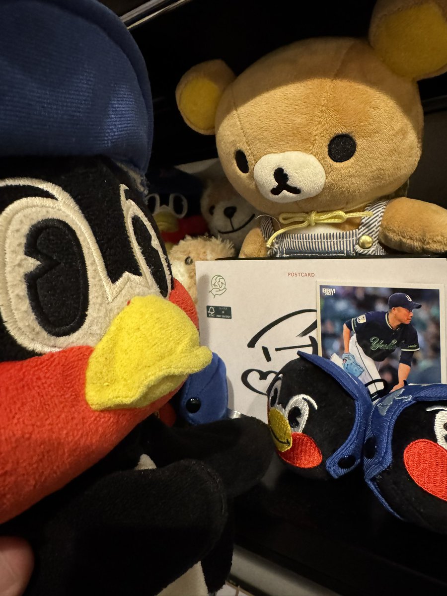 だいちゃん(Da.i) 【だいちゃんの音楽たち】 tweet media