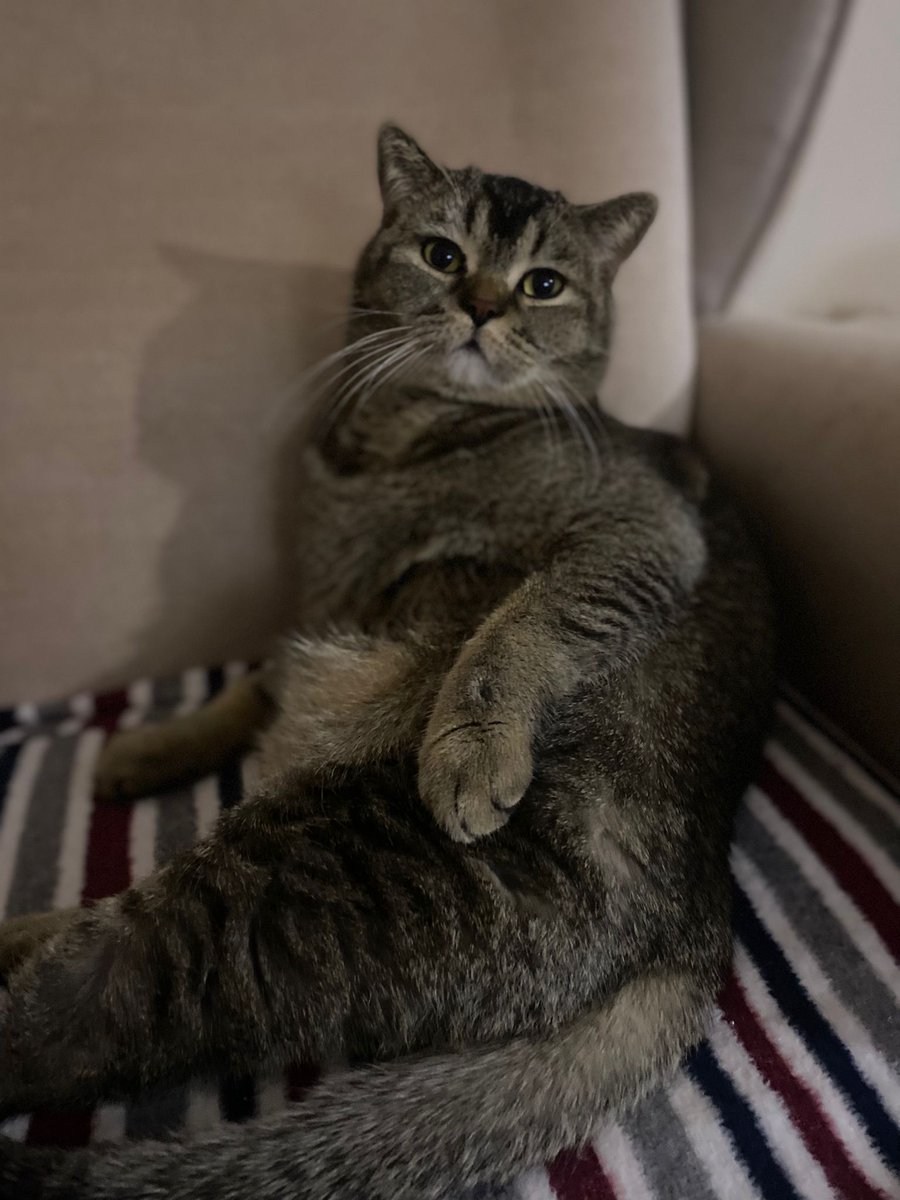 Elifkedisi tweet media