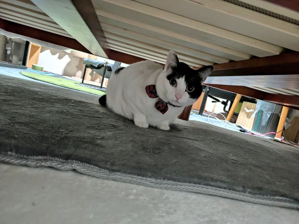 フンニングウェイ@Tiamat tweet media