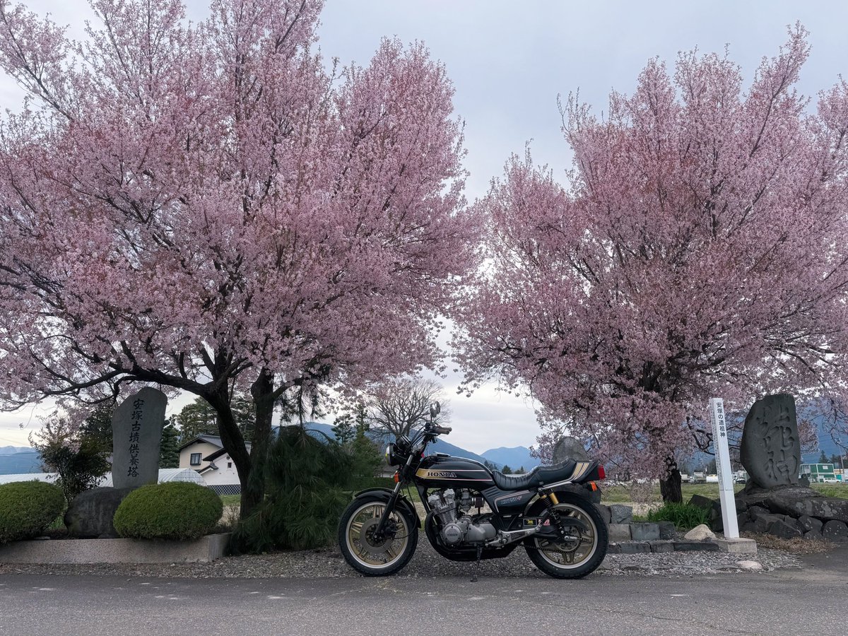 BOW！＠まさる tweet media