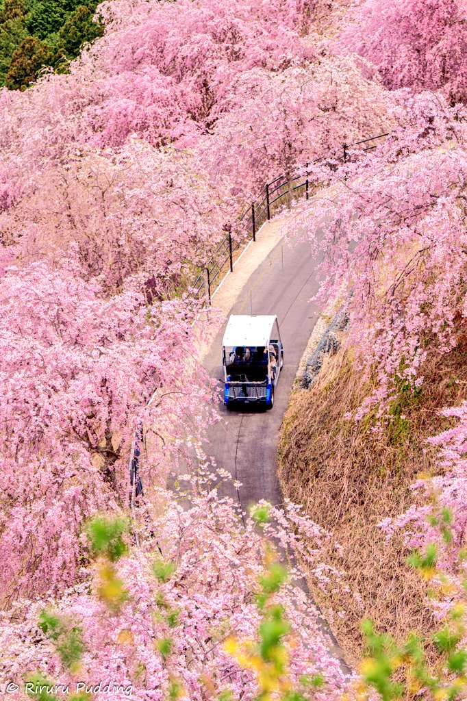 りるる tweet media