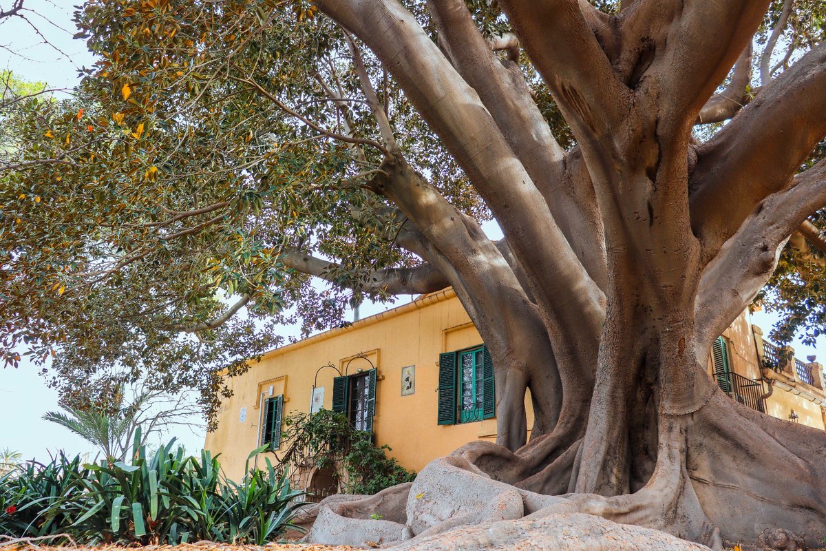 Generalitat tweet media