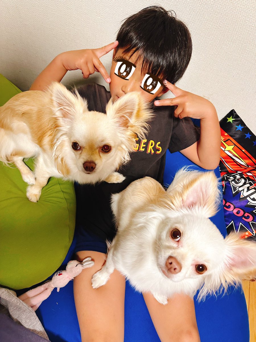 アイオマルウー tweet media