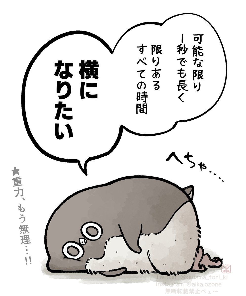 おぞね tweet media