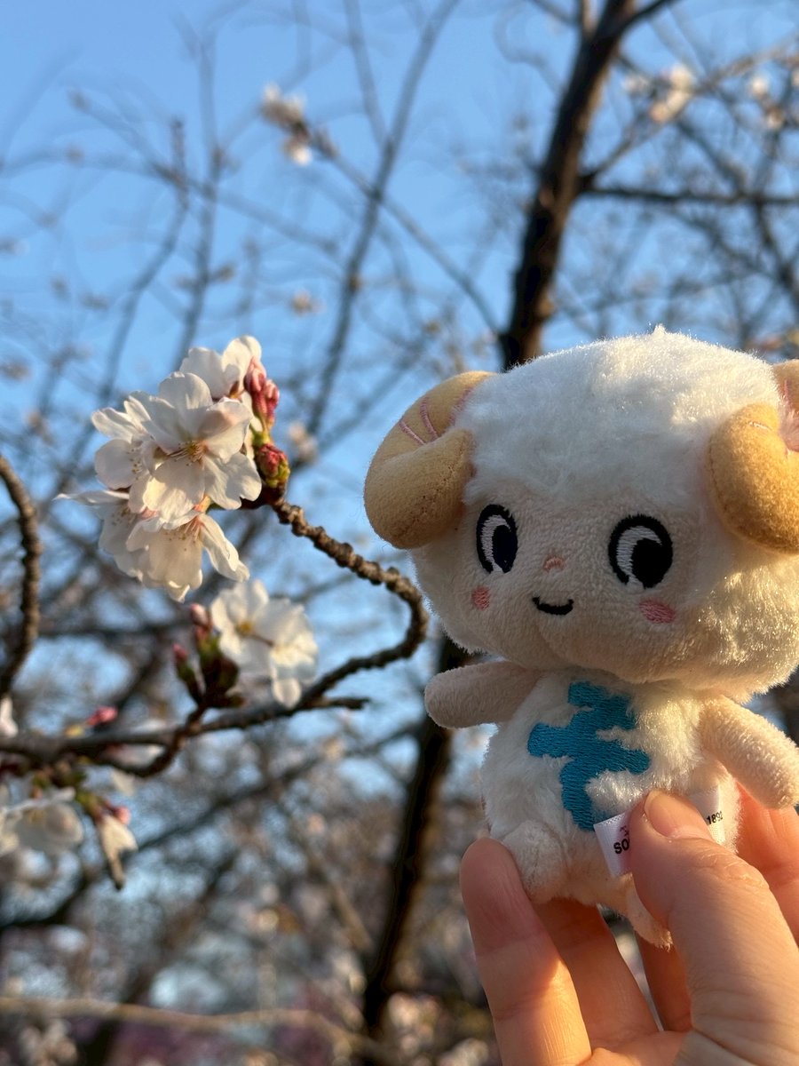 図書出版  創元社 tweet media