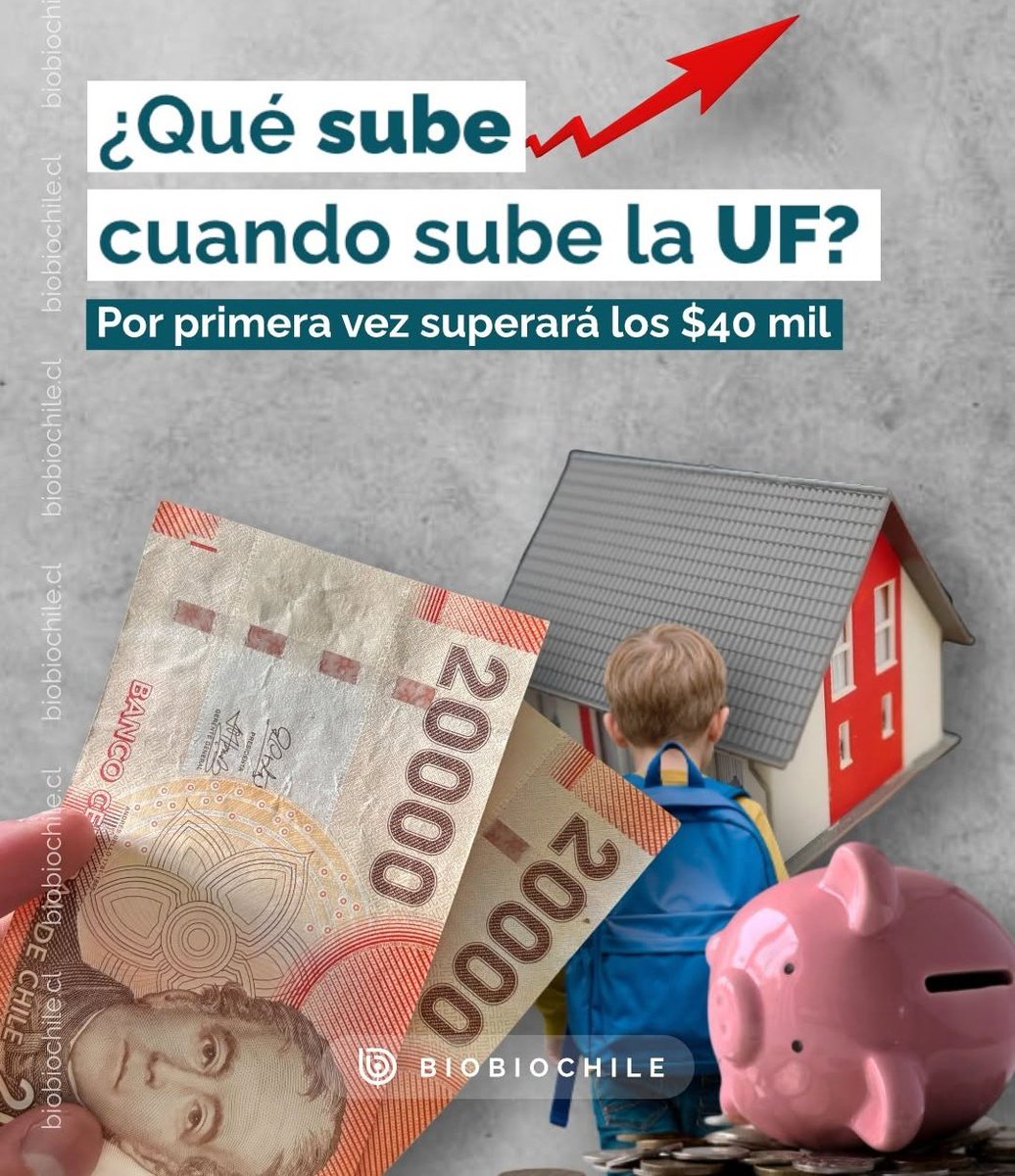 Ciudadano Roberto Kiltro tweet media