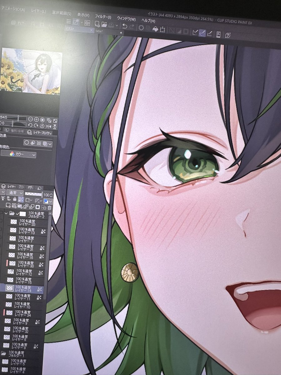 時鳥(ホトトギス) tweet media