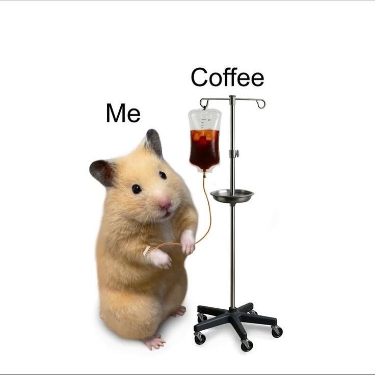 𝑤𝑖𝑐𝑘 🌟♃ /randevular açık tweet media