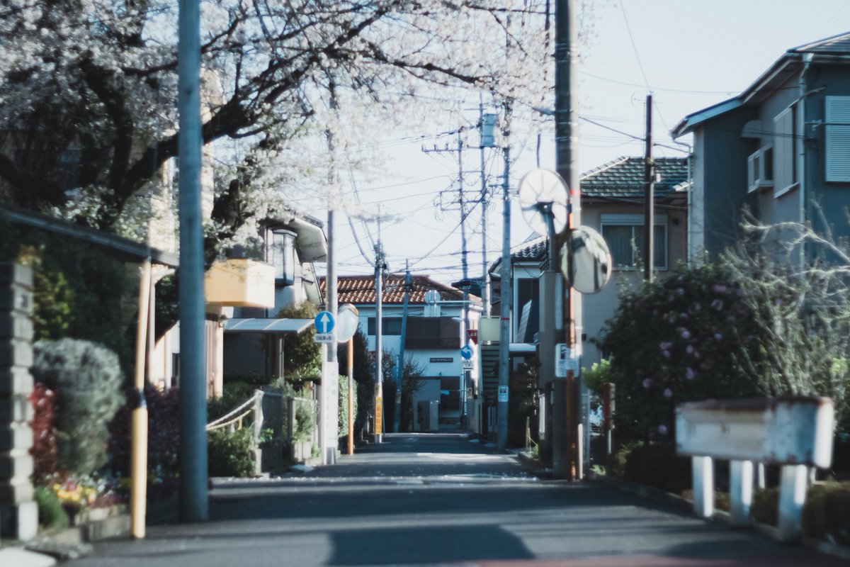 深海 / shinkai tweet media