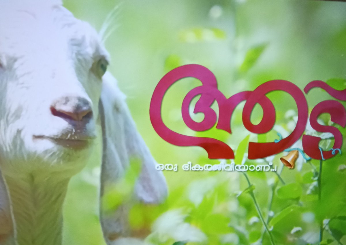 girlbugboy tweet media