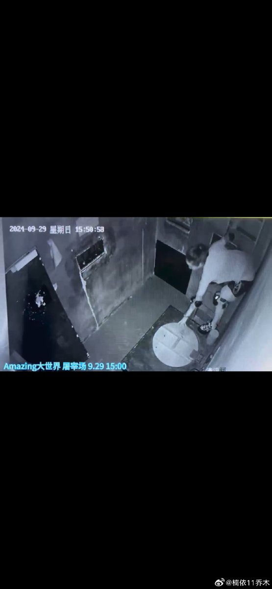 YoungMiss tweet media