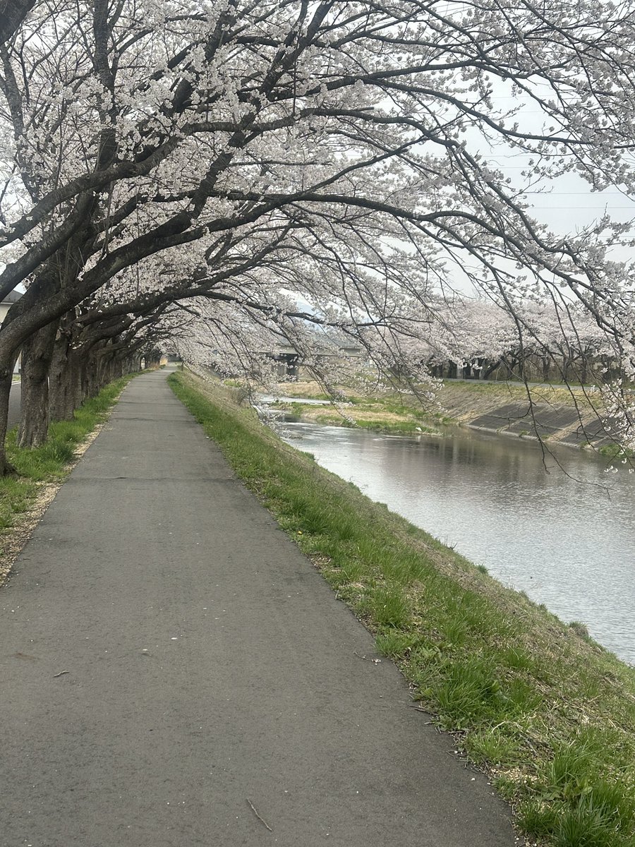 皆さん現実に戻られ余韻に浸る間も無いくらいバタバタですかねえ…
自分も車検出しに行ったら渋沢栄一が20人居なくなりそうです。
また頑張って働こう╭(°ㅂ°)╮╰(°ㅂ°)╯