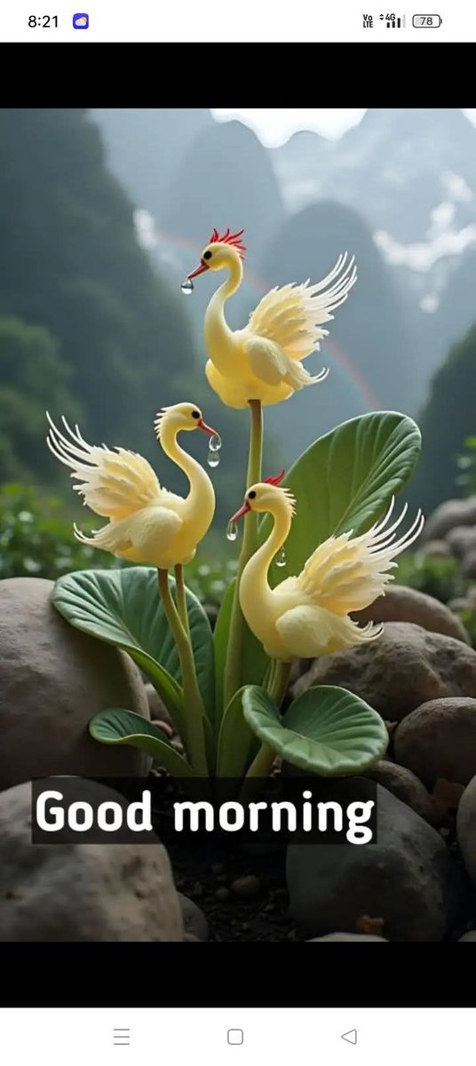 Adriana Chiren Bulgaria 🇧🇬 tweet media