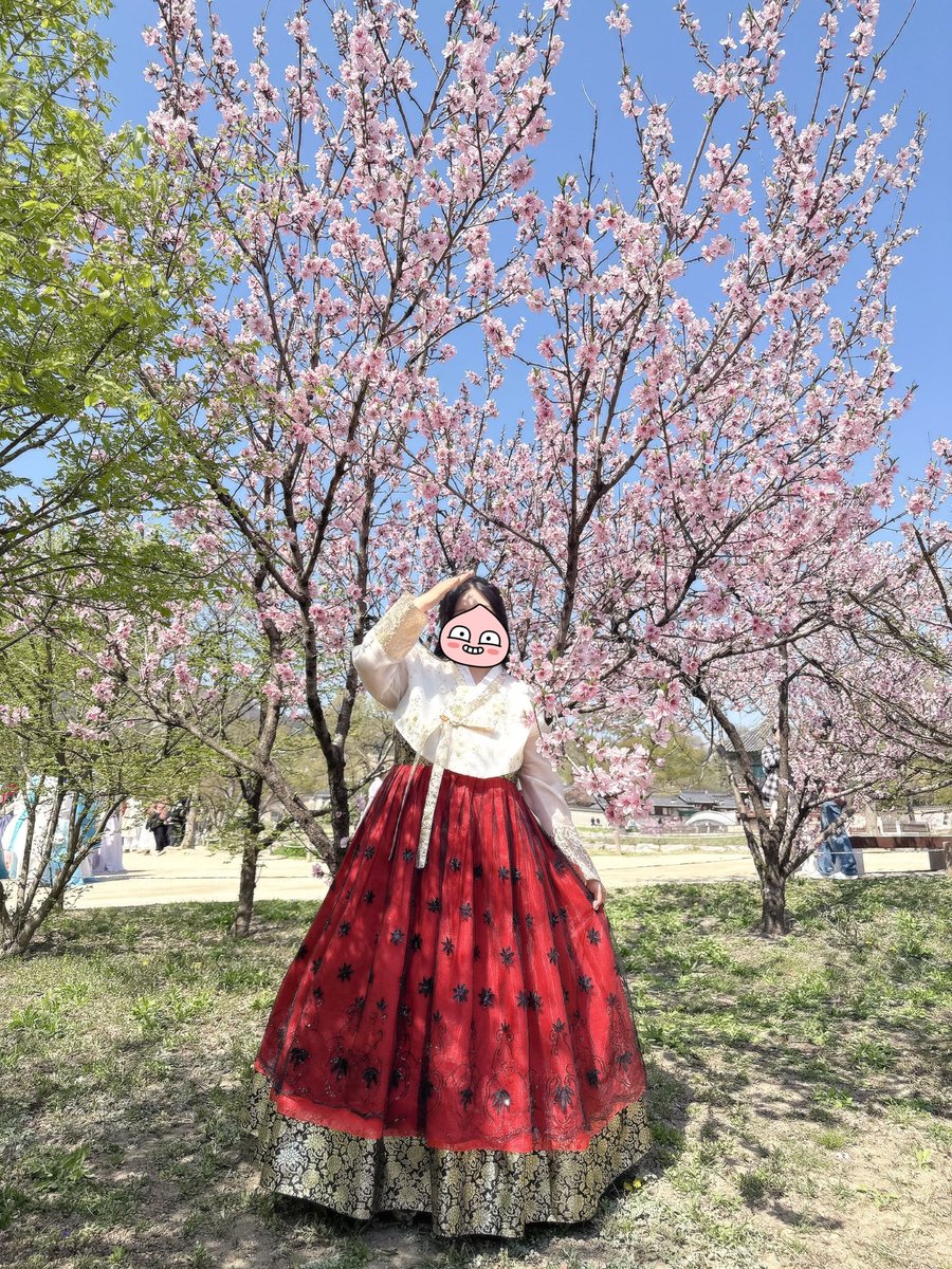 이승석 tweet media