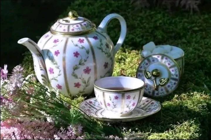 lunecrumbss's tweet photo. tea time https://t.co/zmbKg2rvEX