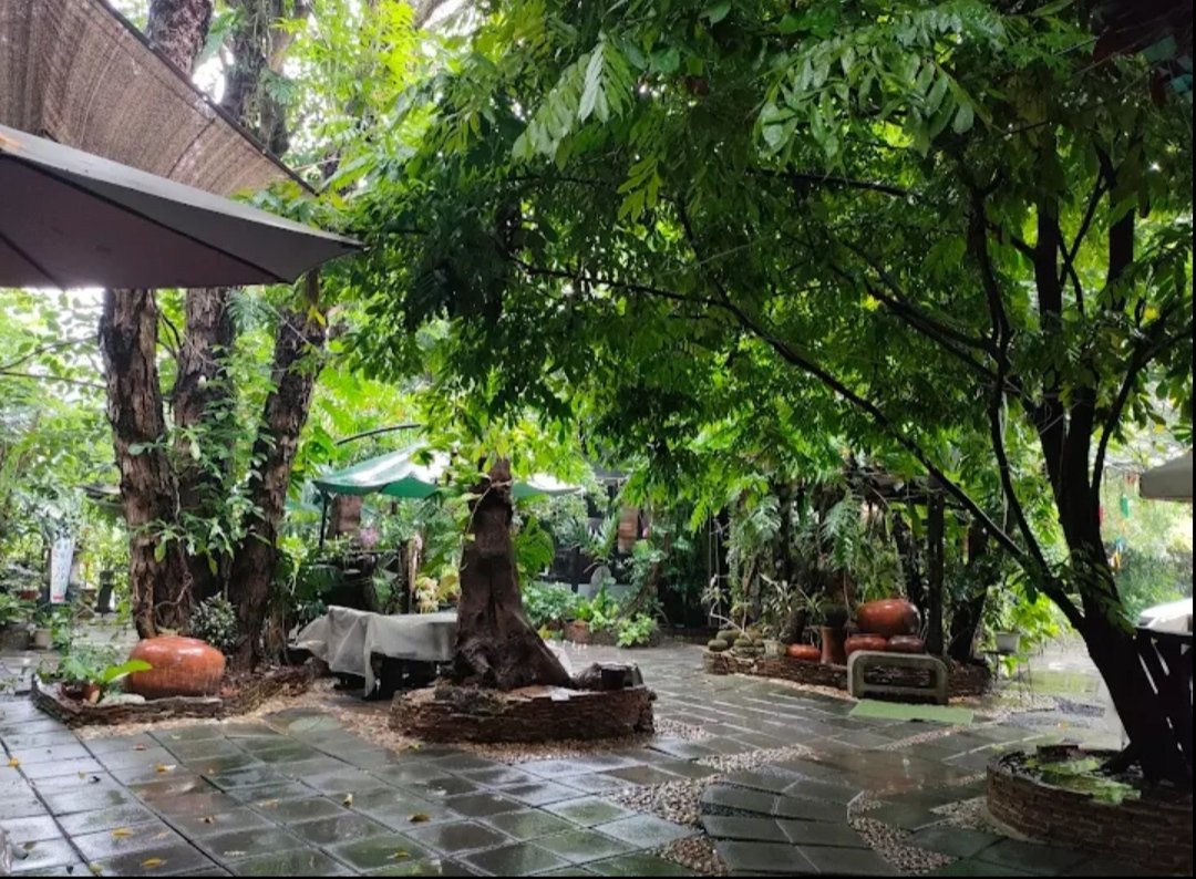 Buzzie2990 tweet media