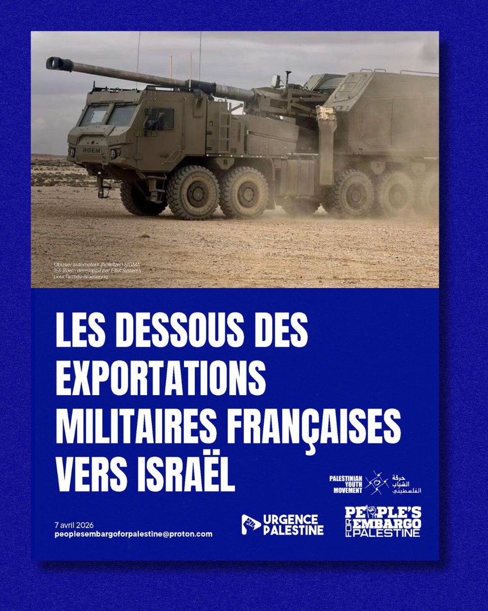 Tom Martin 𓂆 🇵🇸 tweet media