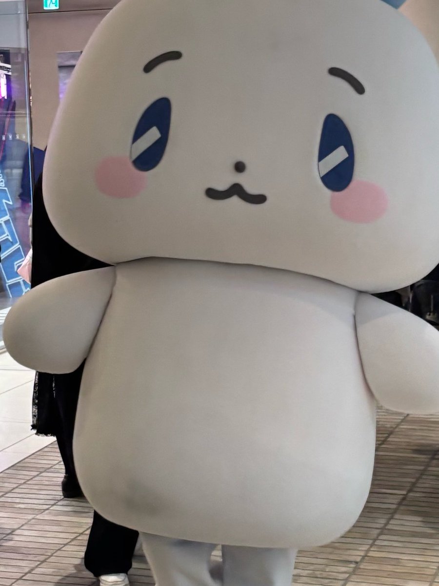 플리_쫜 tweet media