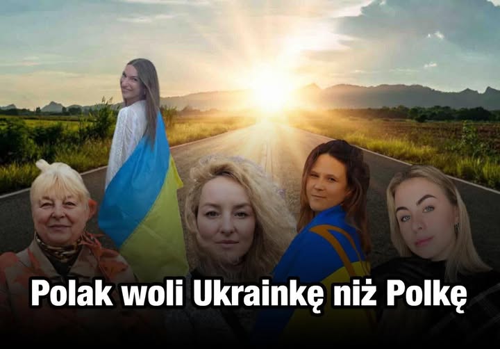 Centrum Usług Prawnych tweet media