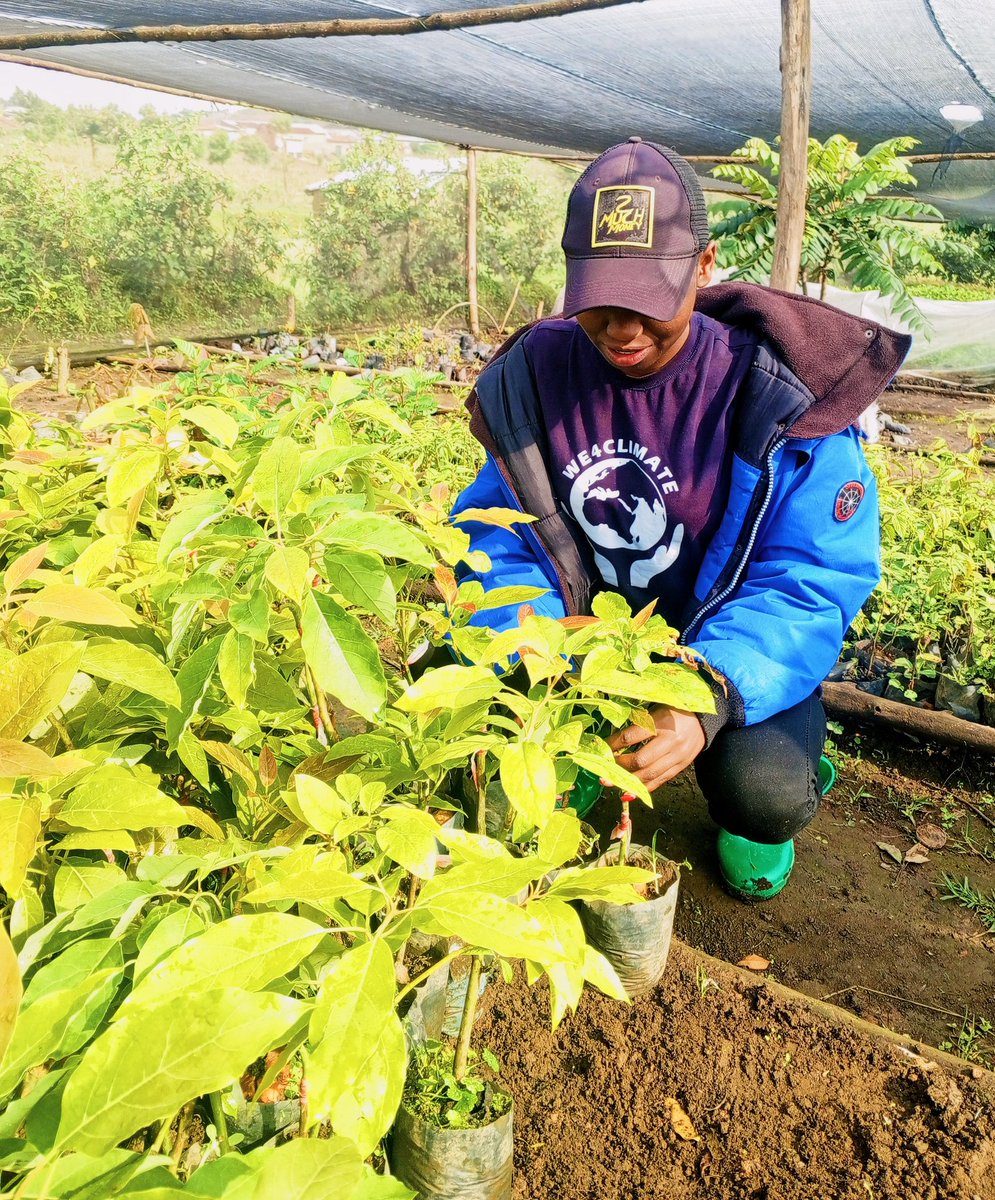 We4Climate tweet media