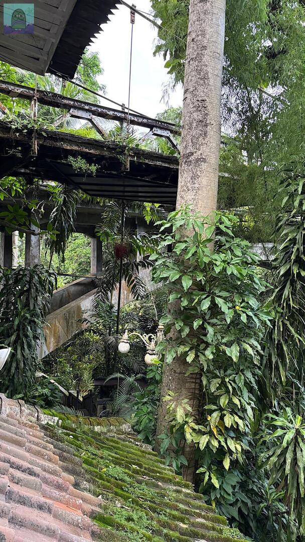 Tanyarl 💚 tweet media