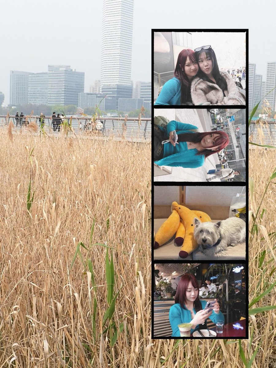 Jaenoffee - Chaespr Fanclub tweet media