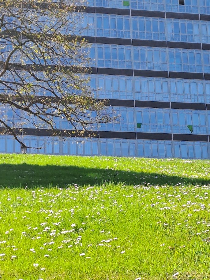jacoboblan's tweet photo. ➡️Oviedo parece impulsar, a su escala, el modelo de Palma, Barcelona, Málaga, Madrid... 
➡️Todas esas ciudades están de vuelta de ese modelo. 
➡️Oviedo va cuando otras vuelven. 
➡️El parking del Campillín no es para los vecinos, sino para alimentar el Antiguo con turistas 1/2 https://t.co/SeuaoUELUP