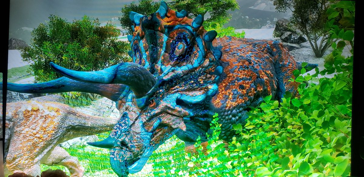 ディゼッタ tweet media