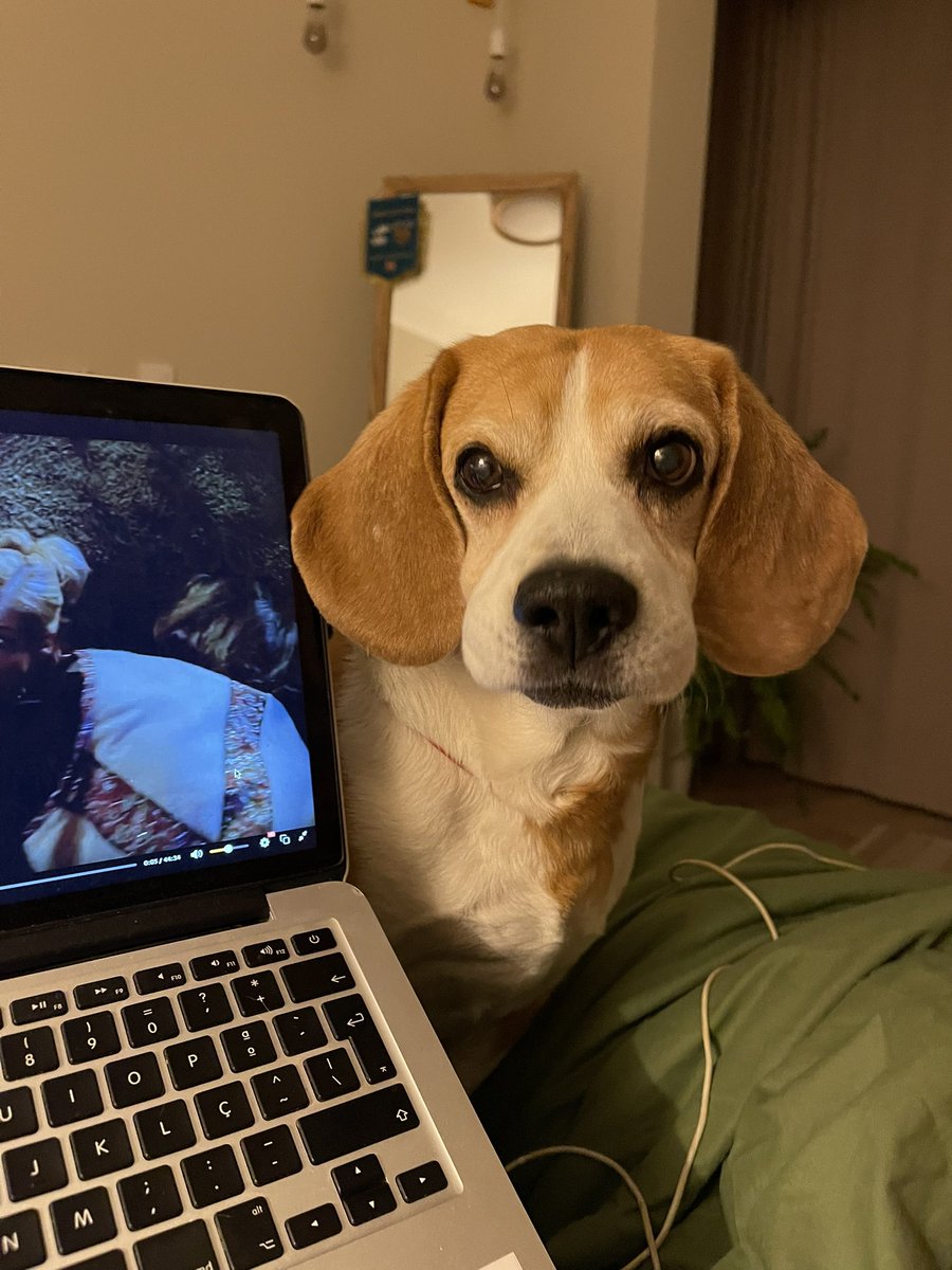 Vladisláva Savkóva tweet media