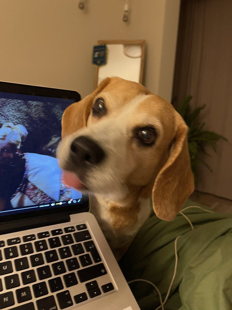 Vladisláva Savkóva tweet media