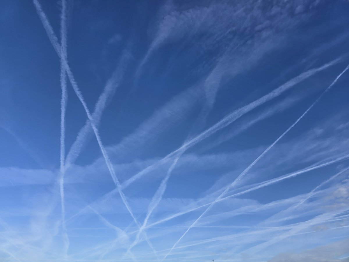 Jim Knopf 🥛🐑🥝🤡👌🏻 tweet media