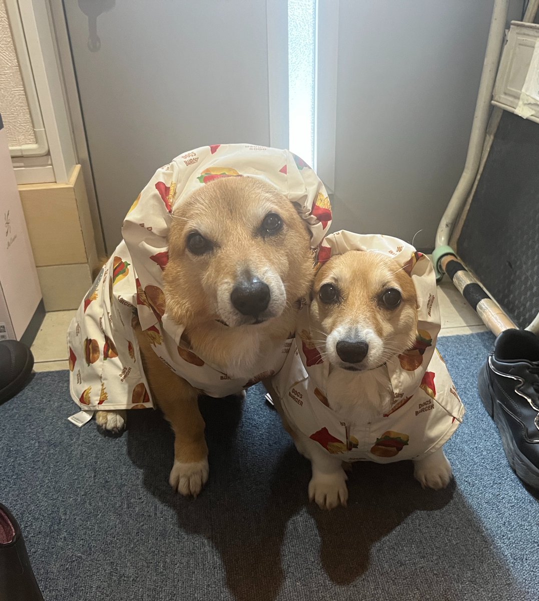 雨んぽの時の正装