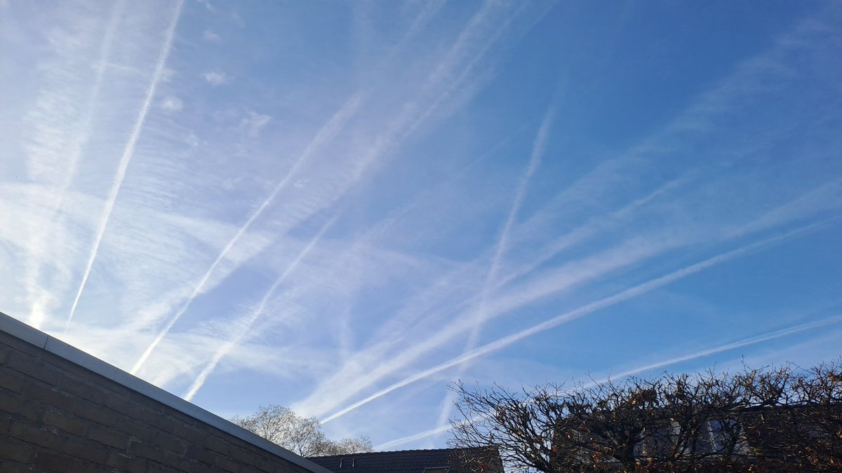 Lieke🔴/FvD / 🚜/Vrijheid/ tweet media