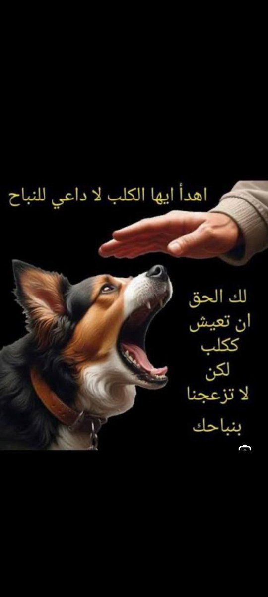 abofgr123's tweet photo. @Aden36352758 https://t.co/oEQuVsnZ3V