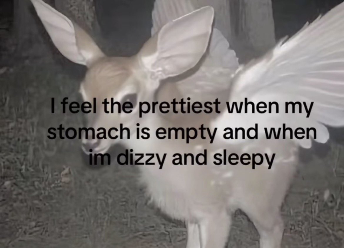 lulu ♡ tweet media