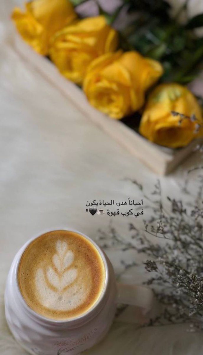 مريم الزهراني tweet media