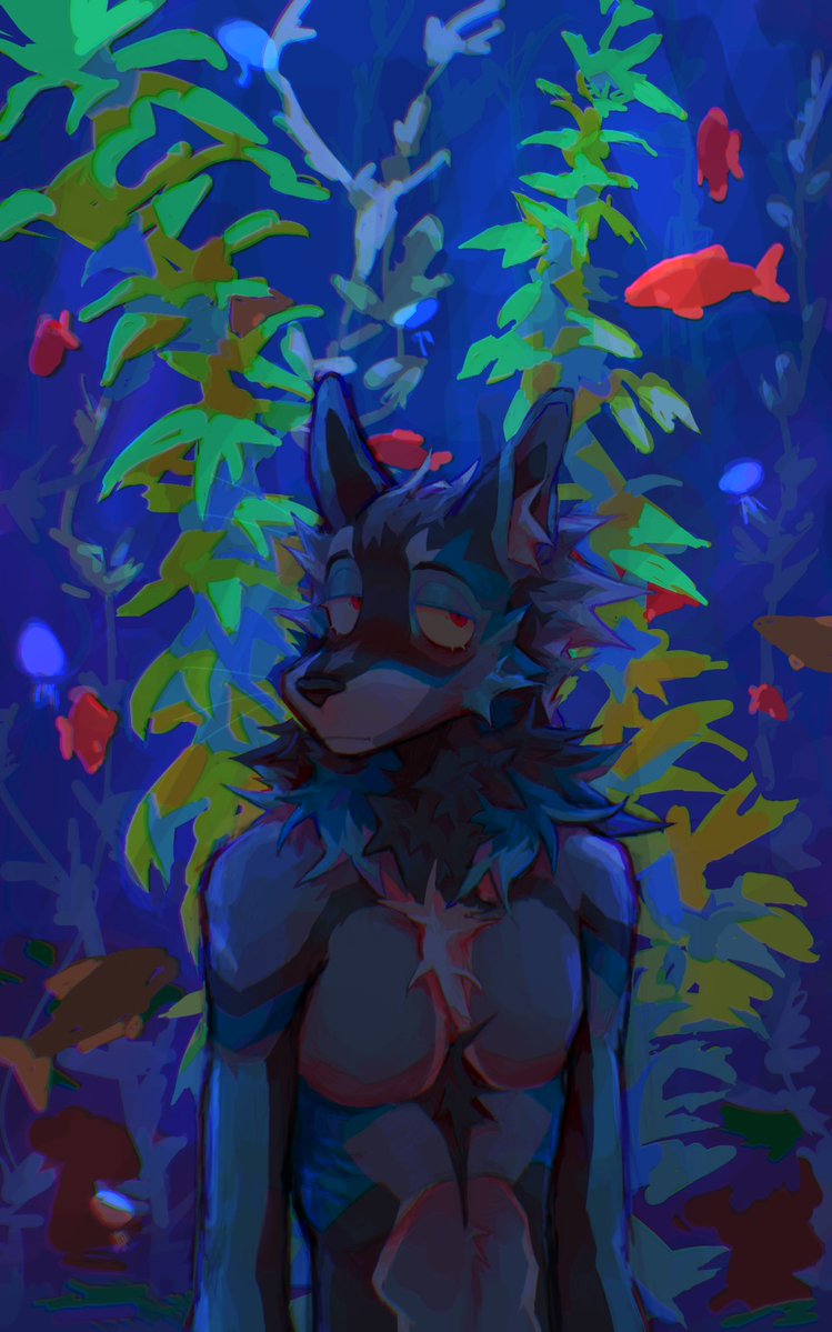 Let me tell you where the night goes