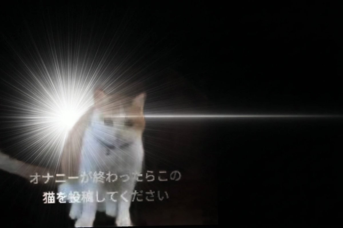 ザフトパンク tweet media