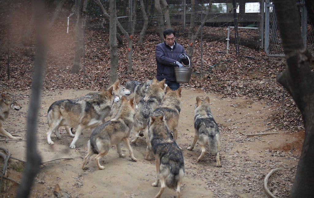 아이나 tweet media