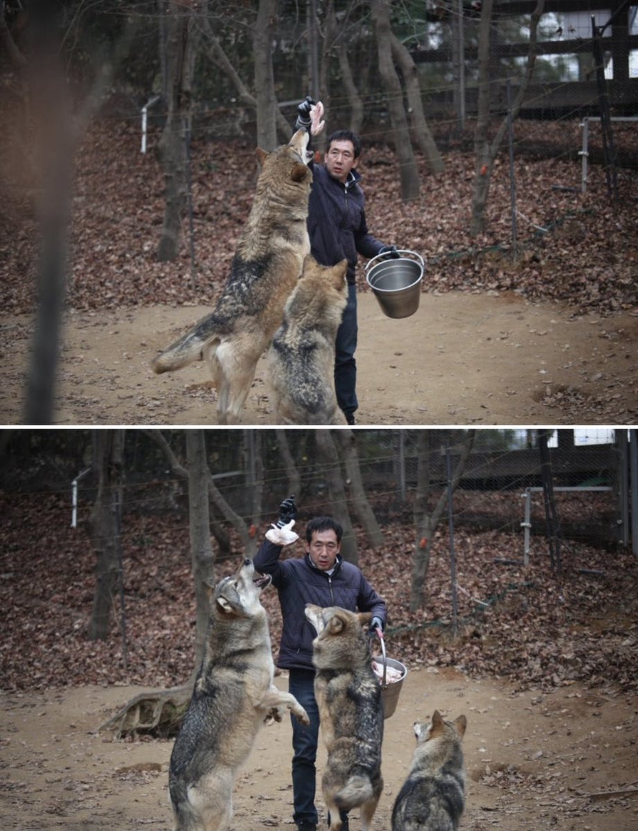 아이나 tweet media