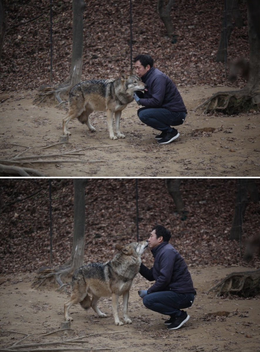 아이나 tweet media