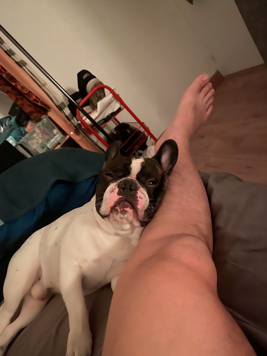 thomas 托马斯-射手男 tweet media